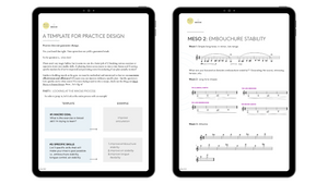 Guide to Practice Design + Articulation Plan